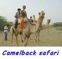 Camelback